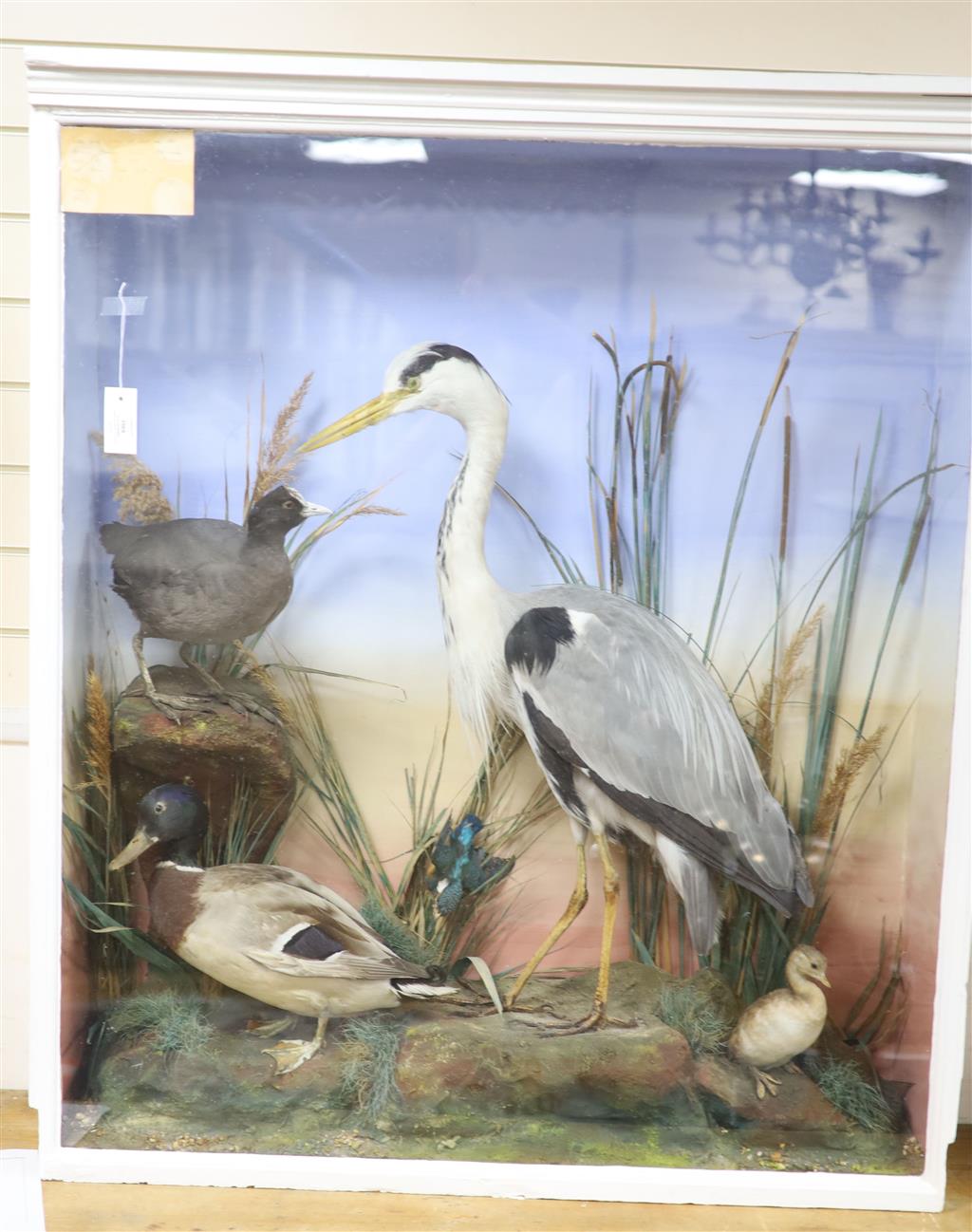 A taxidermic heron in display case